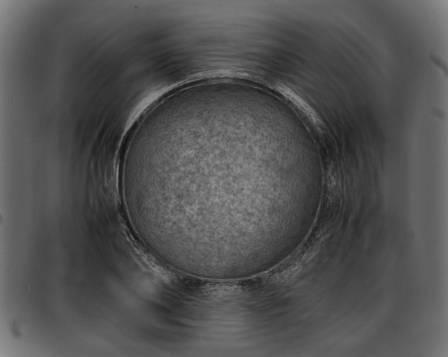 X0000096730886200802121312