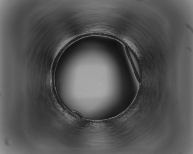 X0000096730888200802121312