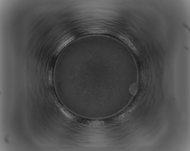 X0000096730889200802121312