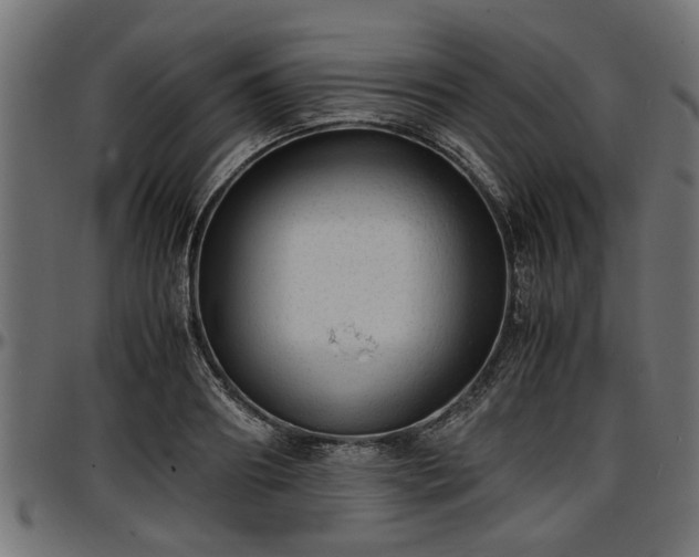 X0000096730890200802121312
