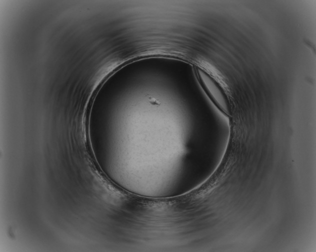 X0000096730892200802121312