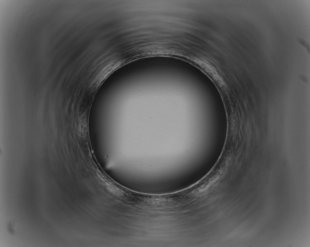 X0000096730897200802121312