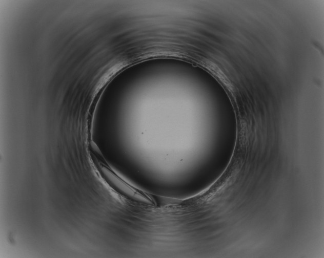 X0000096730898200802121312