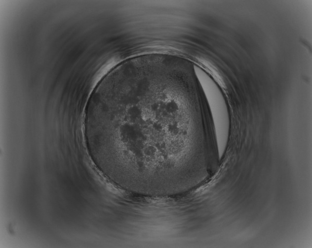 X0000096730899200802121312