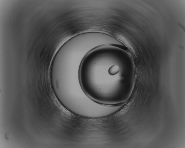 X0000096730900200802121312