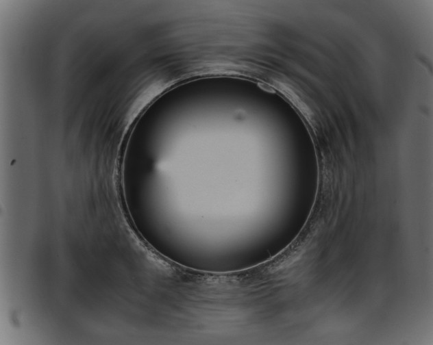 X0000096730901200802121312