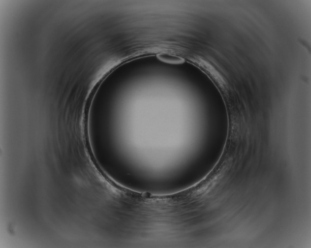 X0000096730902200802121312