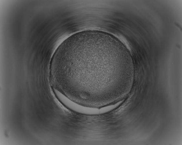 X0000096730903200802121312