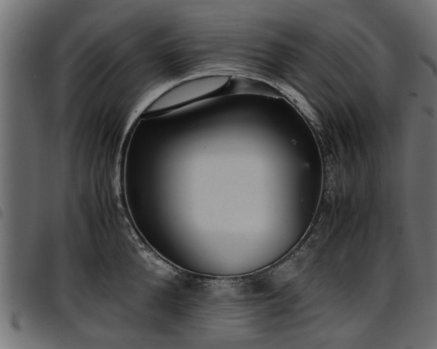 X0000096730904200802121312