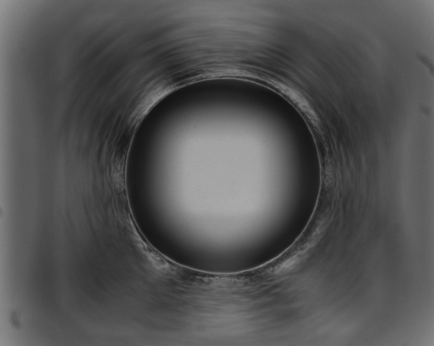 X0000096730905200802121312