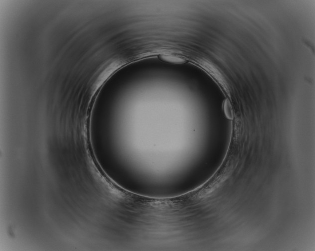 X0000096730906200802121312