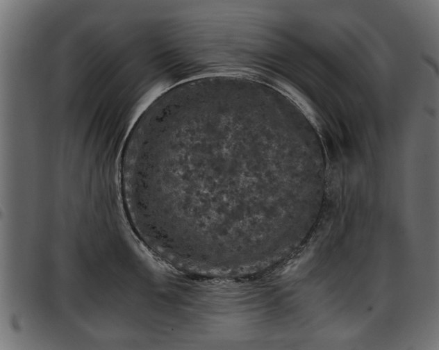 X0000096730907200802121312