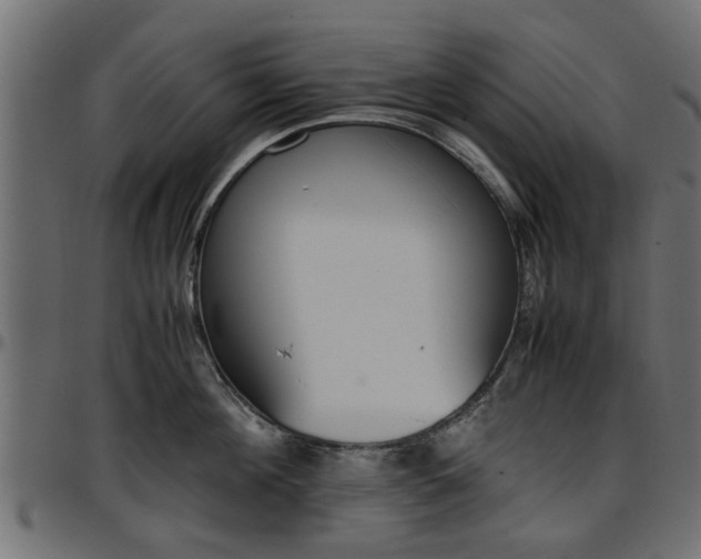 X0000096730908200802121312