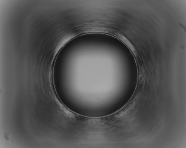 X0000096730909200802121312