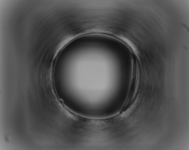 X0000096730910200802121312