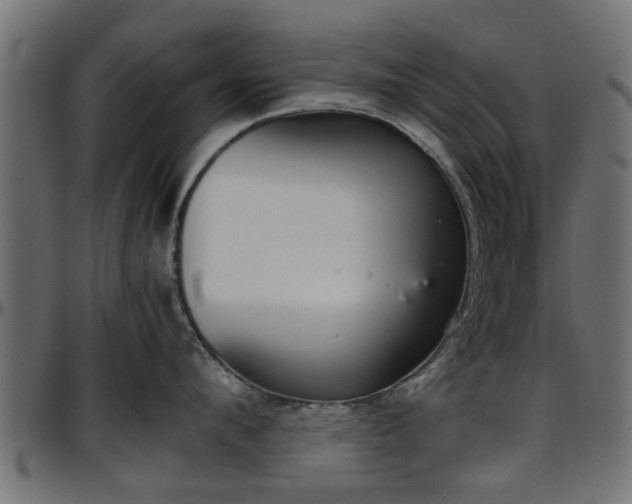 X0000096730912200802121312