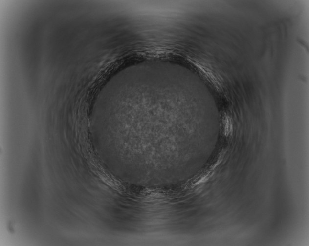 X0000096730913200802121311