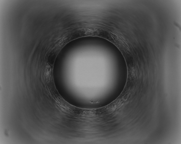 X0000096730914200802121311