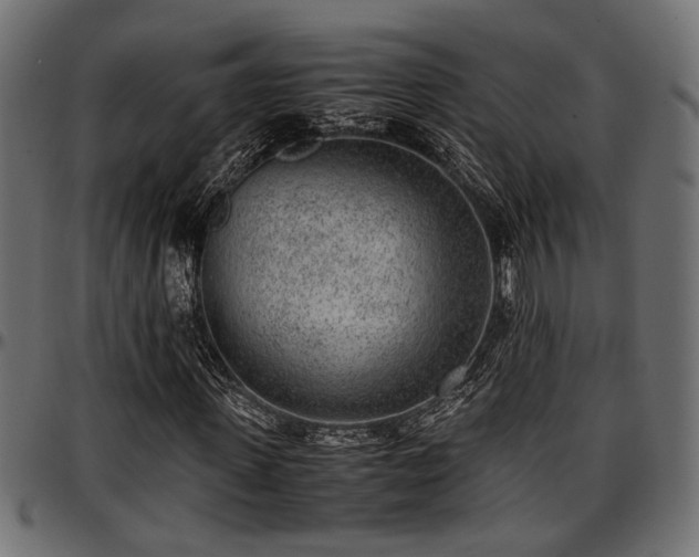 X0000096730915200802121311