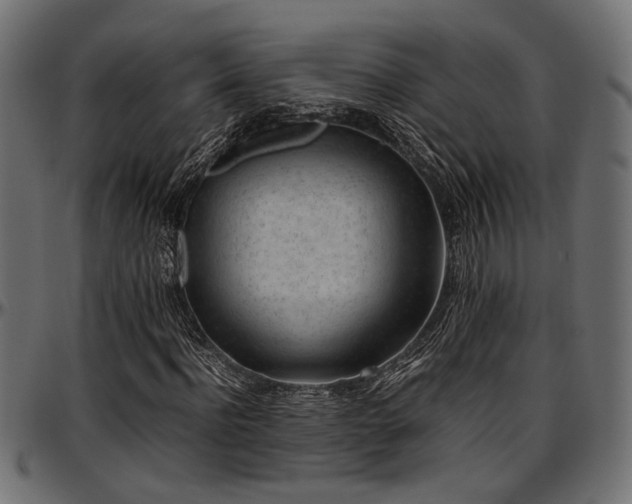X0000096730916200802121311