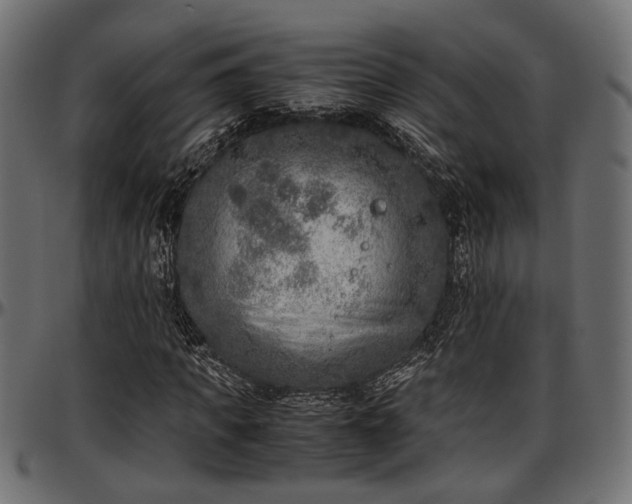 X0000096730917200802121311