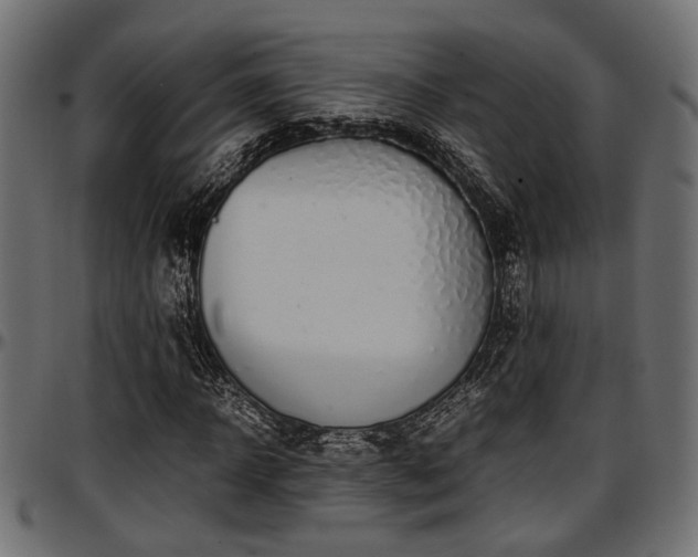 X0000096730918200802121311