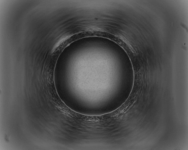 X0000096730919200802121311