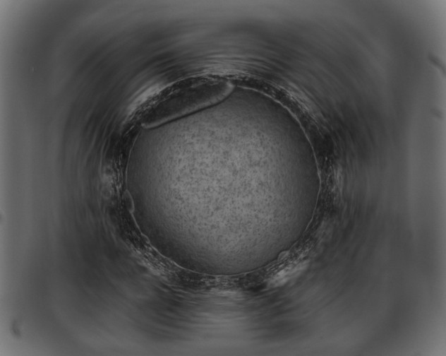 X0000096730920200802121311