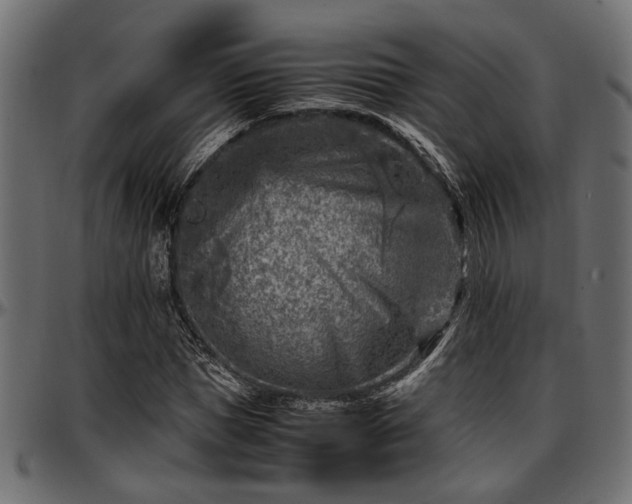 X0000096730921200802121311