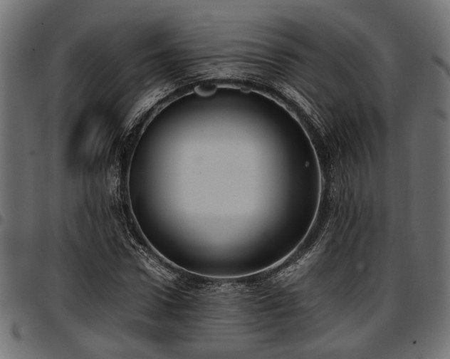 X0000096730922200802121311