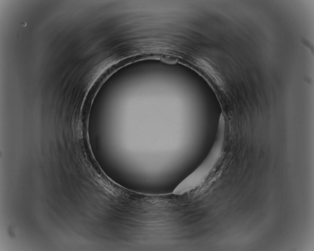 X0000096730924200802121311