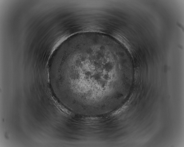 X0000096730925200802121311