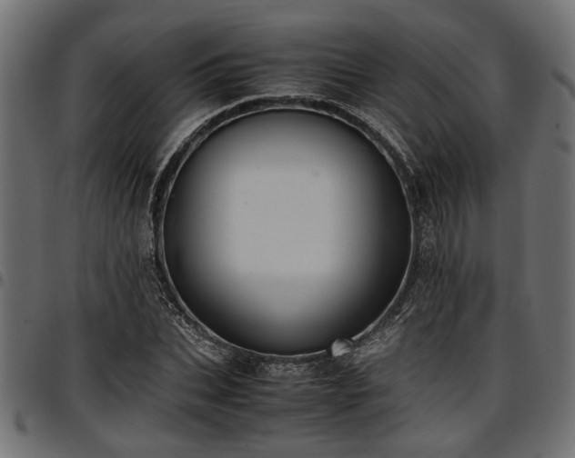 X0000096730927200802121311