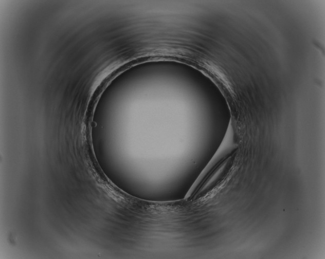 X0000096730928200802121311