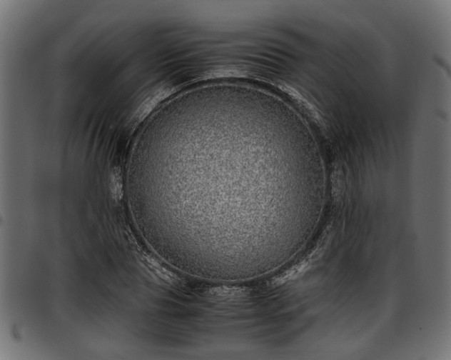 X0000096730929200802121311