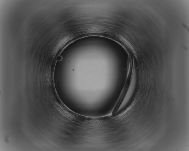 X0000096730930200802121311