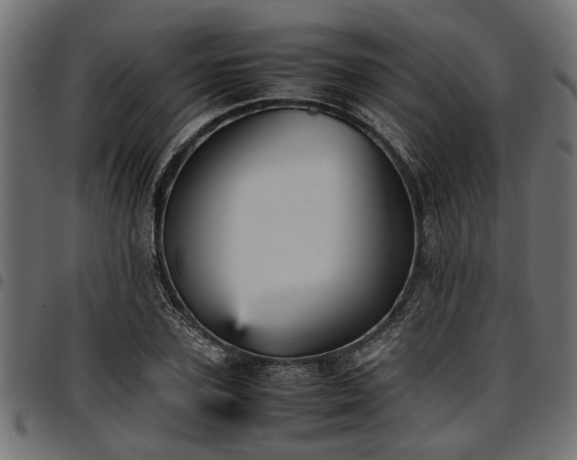 X0000096730931200802121311