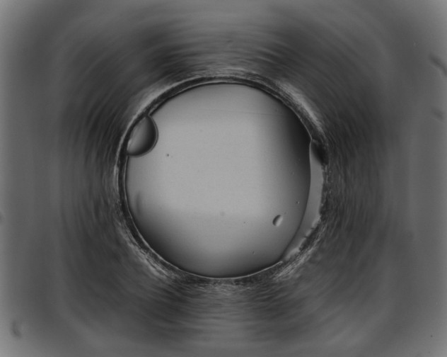 X0000096730932200802121311
