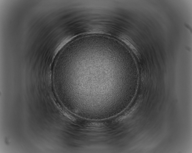 X0000096730933200802121311