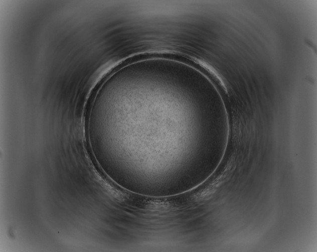 X0000096730935200802121311