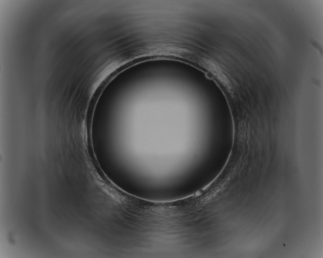 X0000096730936200802121311