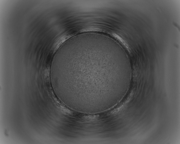 X0000096730937200802121311