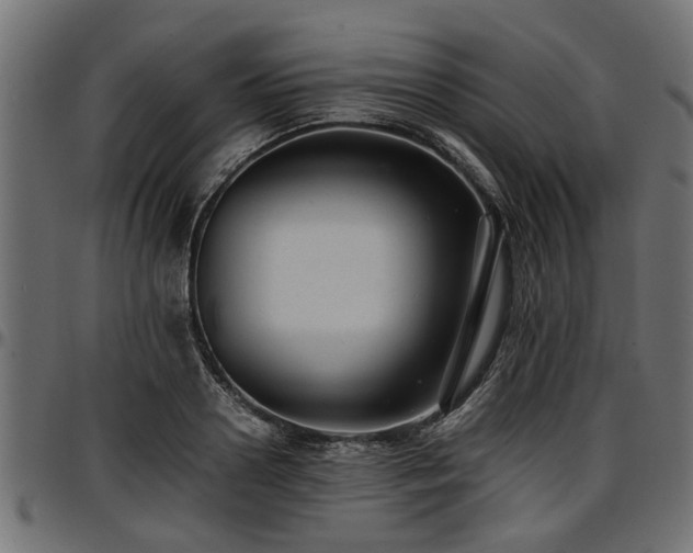 X0000096730938200802121311