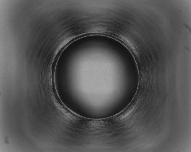 X0000096730939200802121311