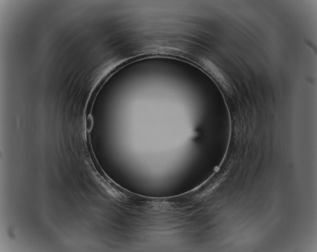 X0000096730940200802121311