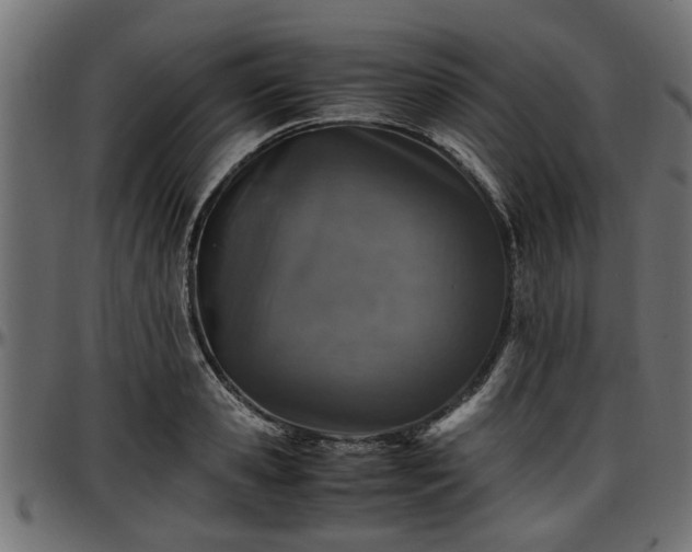 X0000096730941200802121311