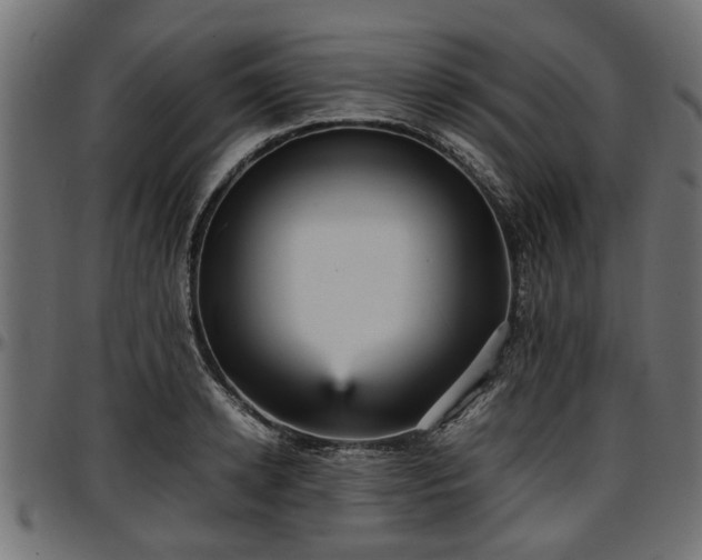 X0000096730942200802121311