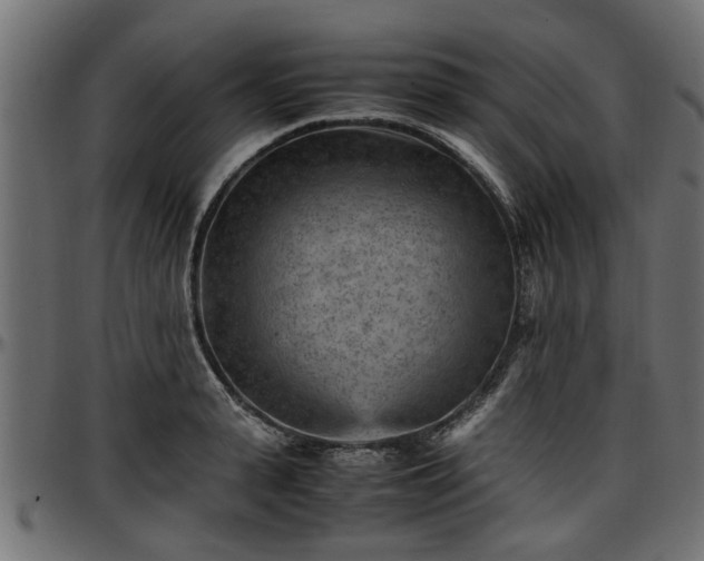 X0000096730943200802121311