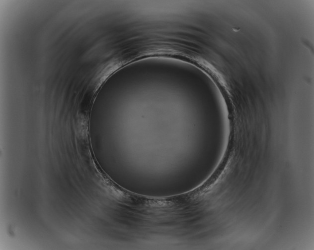 X0000096730945200802121311