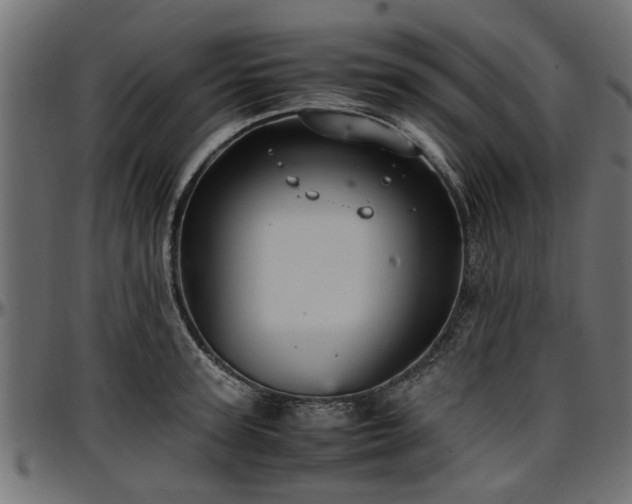 X0000096730947200802121311